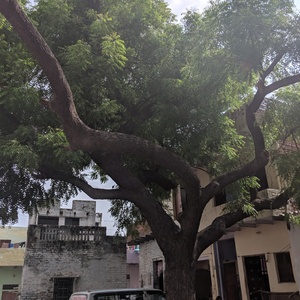 IMG_20190707_150318.jpg
